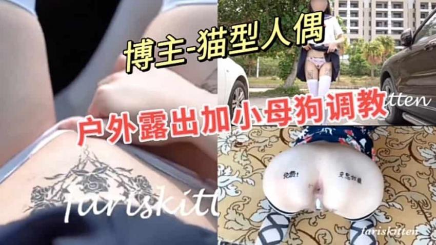 正文图片 正文图片